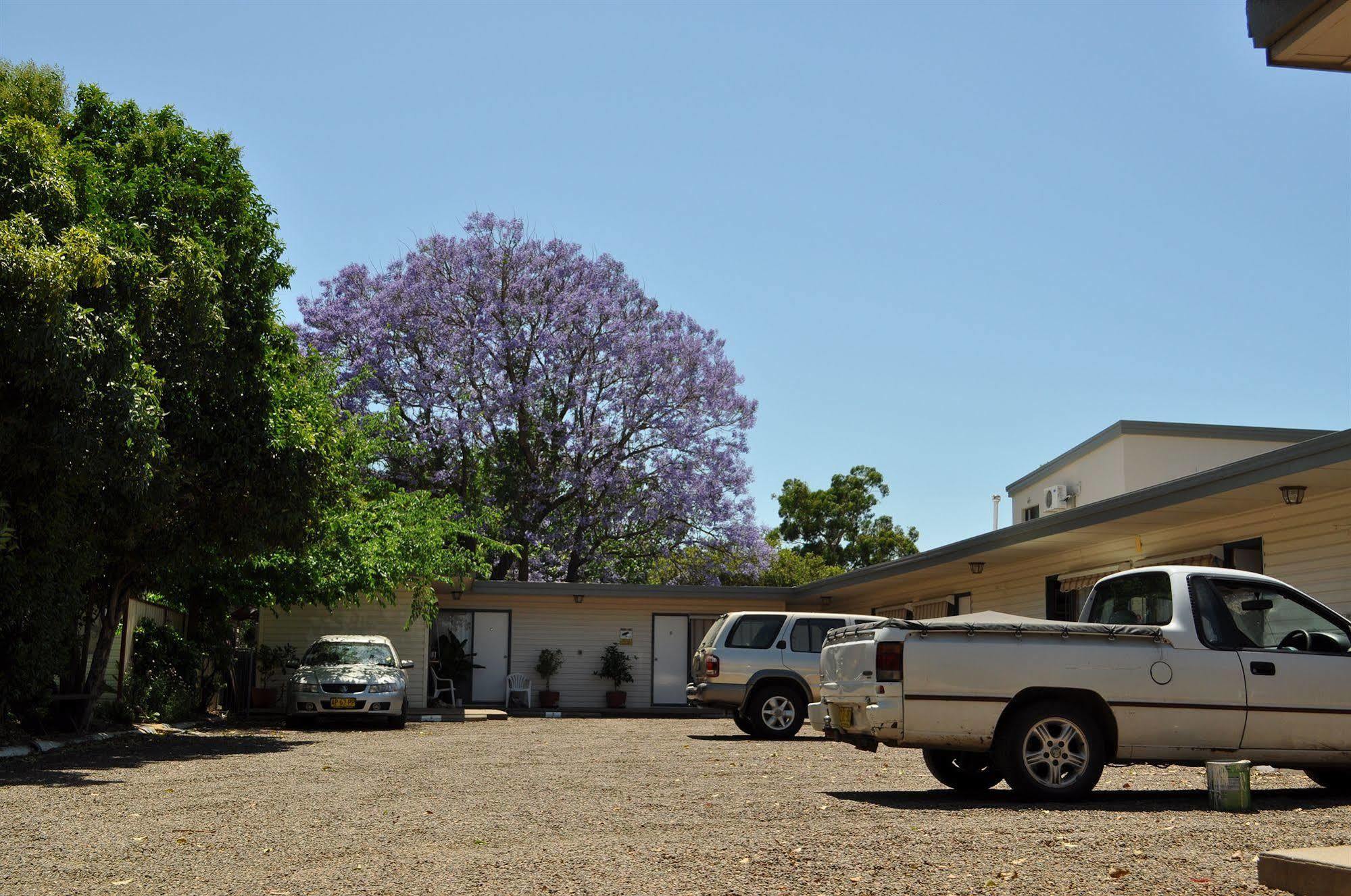 Red Cedar Motel Muswellbrook Ngoại thất bức ảnh